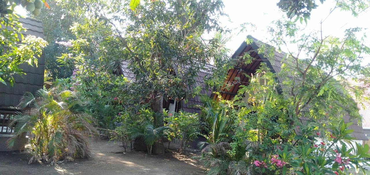 Hello Lumbung Homestay Gili Air Exterior photo